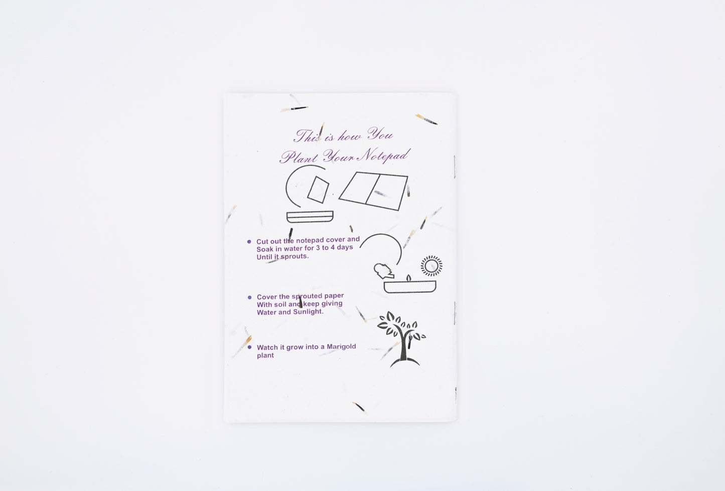 Plantable Notebook - Frozen Artwork - MOQ 25 Pcs