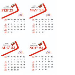 Plantable Seed Calendar 2024 - MOQ 2000 pcs - Preorder only