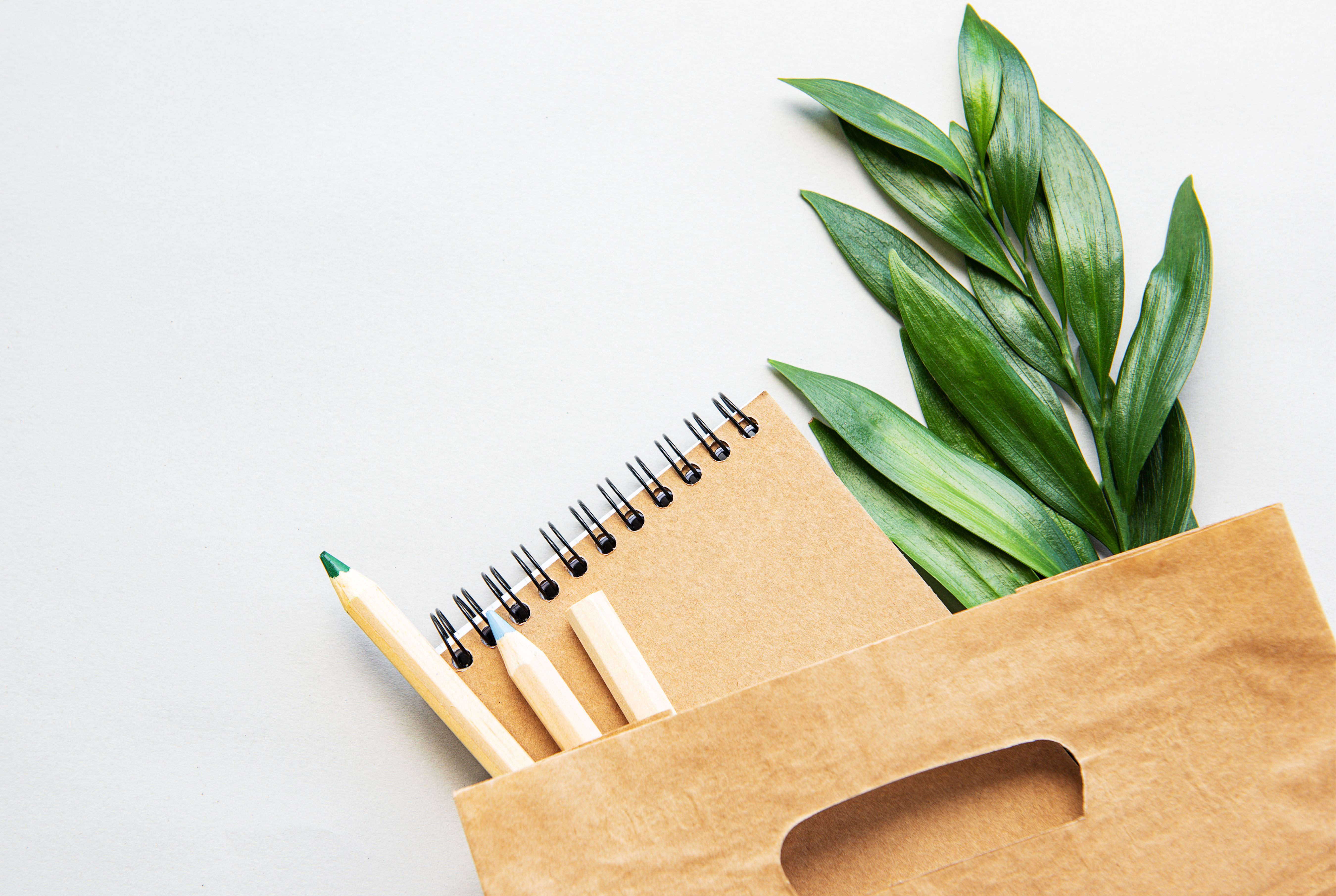 Eco Stationery