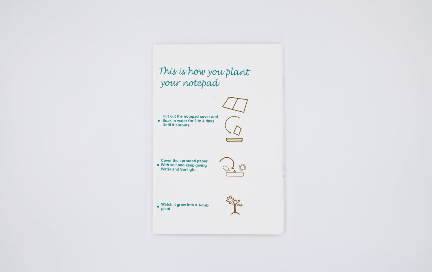 Plantable Notebook - Dinosaur Artwork - MOQ 25 Pcs
