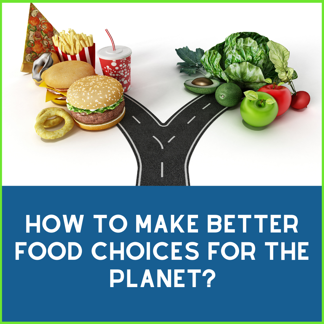 Workshop Towards a Sustainable Diet - yes4us