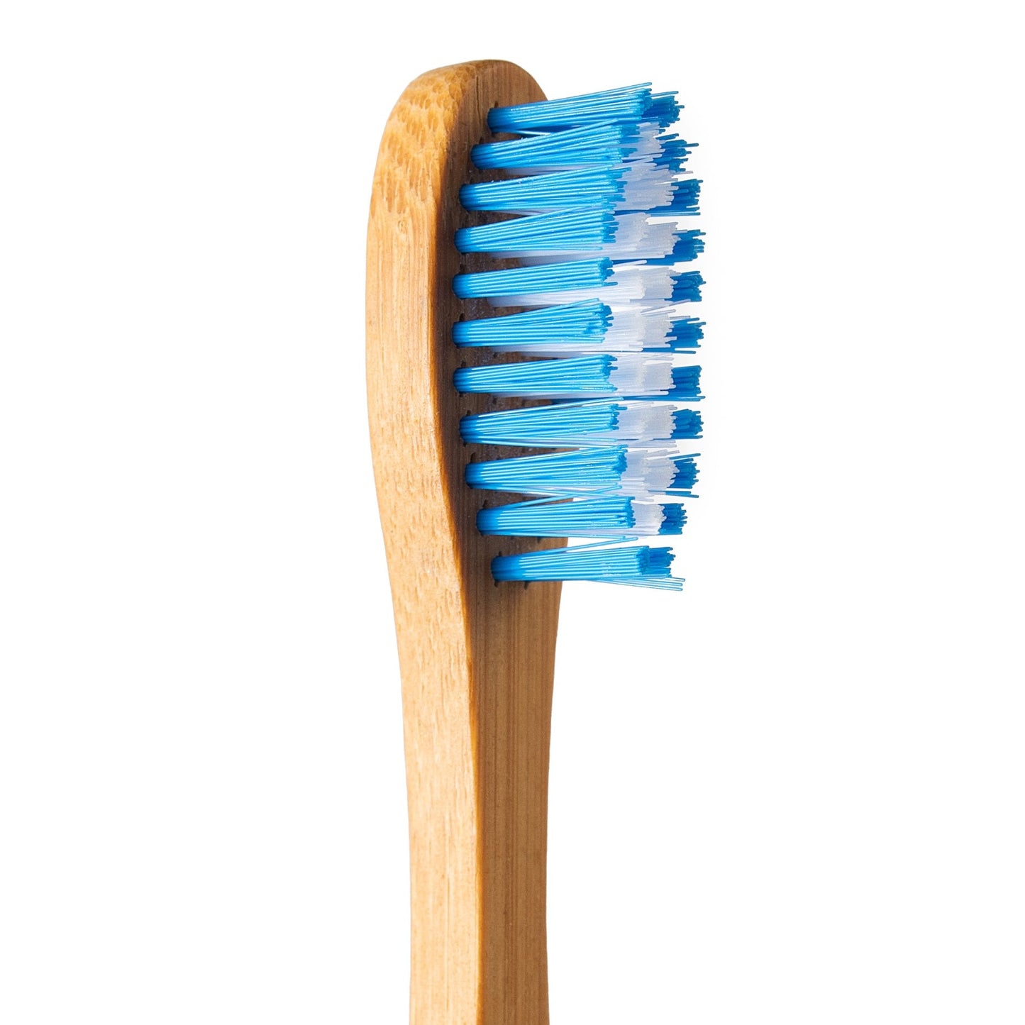 BAMBOO TOOTHBRUSH STANDARD ADULT - MEDIUM