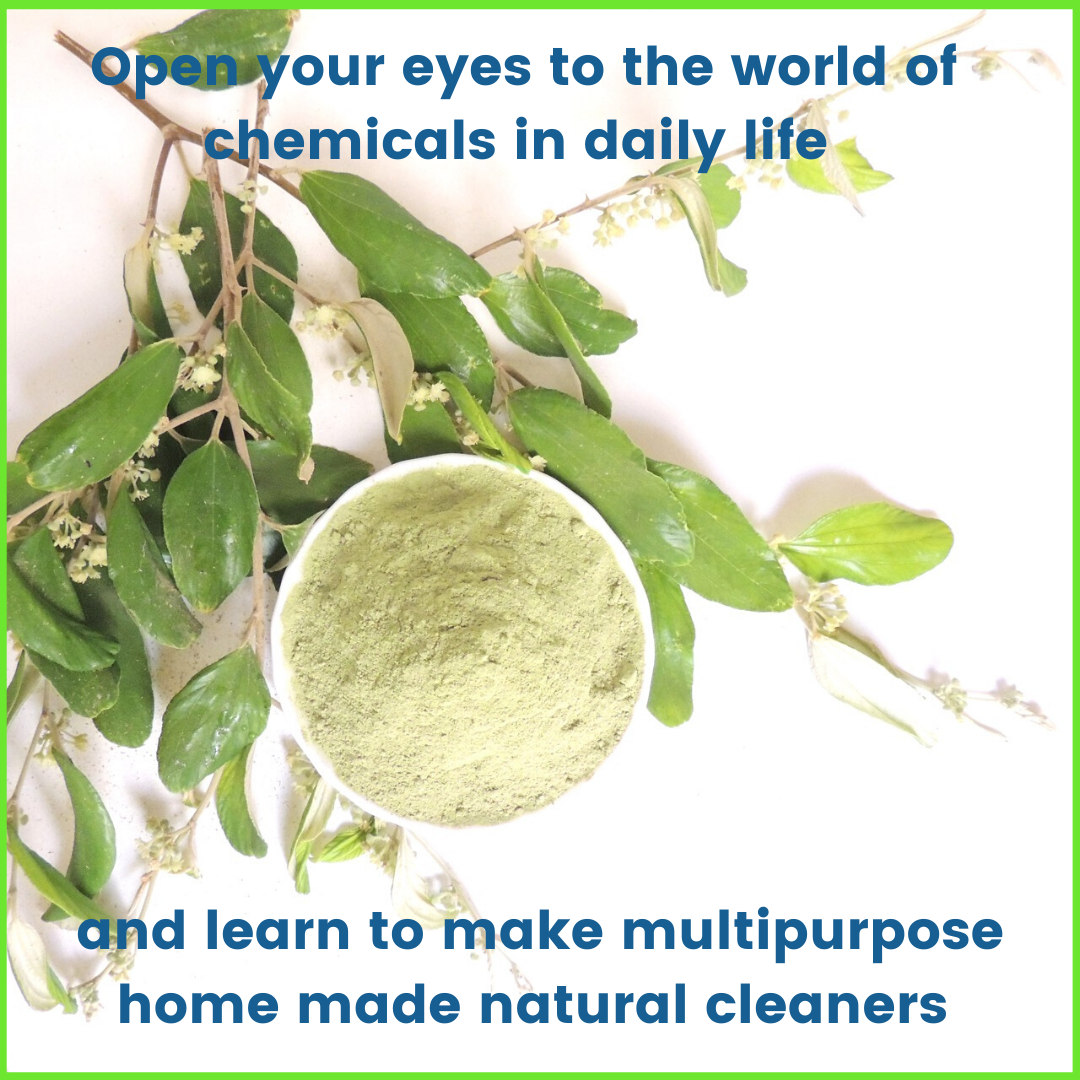 Natural Home Cleaners DIY Workshop (Teens & Adults) - yes4us